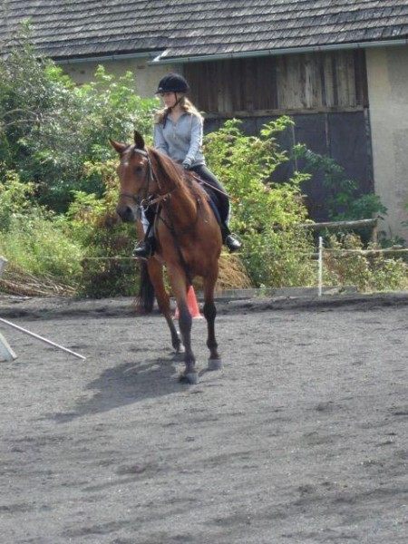 sendy