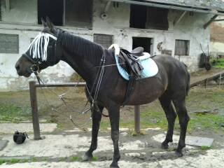 tusirkaa